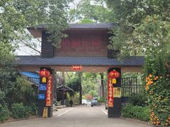 -梧桐庄园