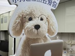 -introlemons(西单更新场·北京首店)