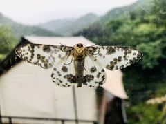 -北京山里寒舍度假酒店