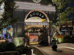 -铁像寺水街