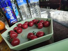 -亲兄弟真人CS团建拓展基地