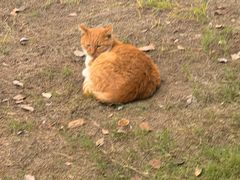 -华东政法大学(松江校区)