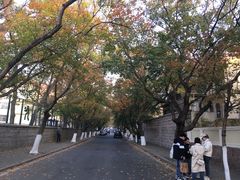 -八大关景区