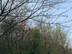 -杭州半山国家森林公园