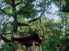 -天一阁博物院