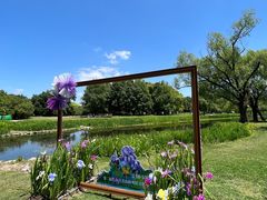 -上海共青森林公园