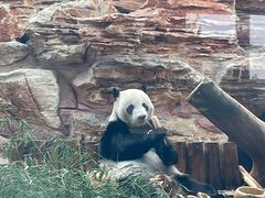 -石家庄市动物园