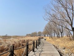 -野鸭湖国家湿地公园