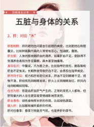 点击看大图 -玛莲朵·海菲秀冰珀科