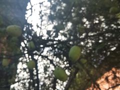 -苍山感通索道