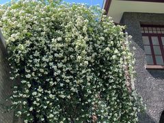-上海孙中山故居纪念馆