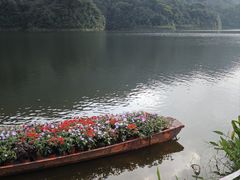 -广州市石门国家森林公园