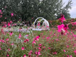 -醉库庄园·宴会厅·草坪婚礼场地
