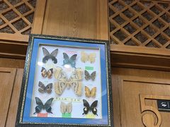 -诺敏塔拉奶茶-布里亚特包子-手把肉(锦都会店)