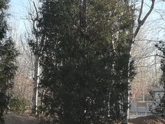 景点-朝阳公园