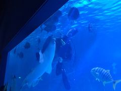 -常州海昌海洋探索馆