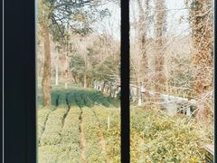 -野蔓果·山野菜(西湖景区·龙井茶田店)