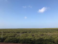 -北海金海湾红树林生态旅游区