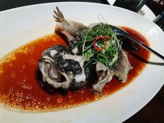 -曼格纳·曼芯馆(杨浦店)