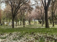 -洨河生态公园