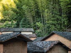 -杨家堂村