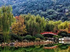 -华清宫景区