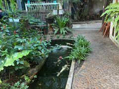 -Fern Forest Cafe
