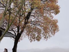 -天目湖涵田度假村