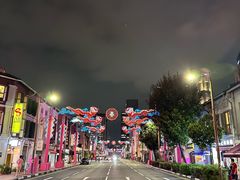 -新加坡佛牙寺龙华院