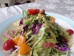 蔬菜沙拉-聚丰园•湖鲜餐厅(阿红私房菜梅石路店)