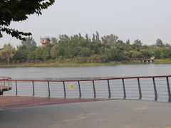 -东郊湿地公园