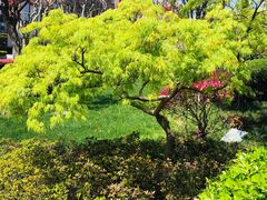 -荷风细雨·中国茶宴(碧云店)