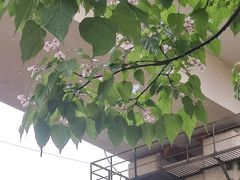 -漕溪路(地铁站)