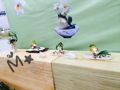 -龙大花卉苗木市场