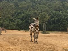 -杭州野生动物世界