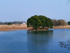 -梁鸿国家湿地公园