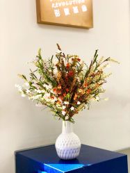 -形象革命造型·护肤Hair Studio