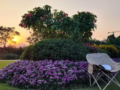 -光明小镇欢乐田园