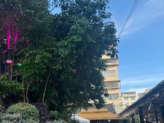 -山菌美食苑(振兴路店)