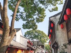 -鲁镇