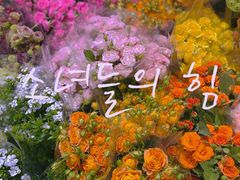 -大自然花鸟鱼虫市场
