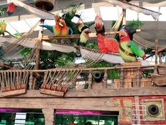 -南宫五洲植物乐园