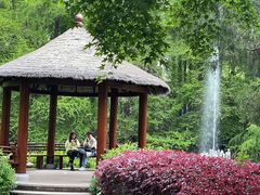 -上海共青森林公园