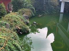 -穹窿山景区