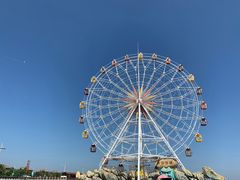 -碧海金沙