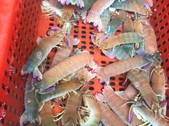 -79号渔船海鲜饭店(宝安店)