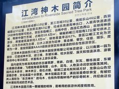 -江湾神木园