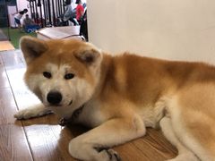 -YCHL Studios健身工作室(市二宫店)