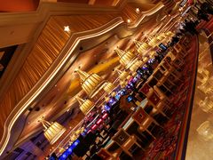 -拉斯维加斯永利酒店