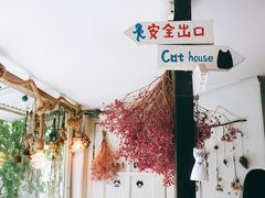 -海边的猫和咖啡馆